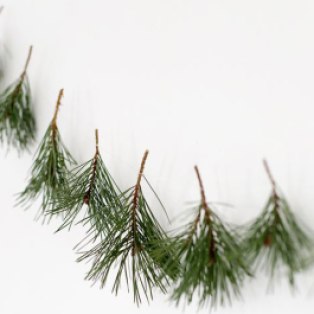 pine-garland