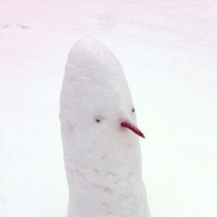 weird snow duck
